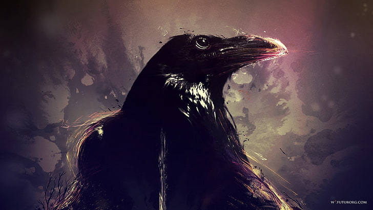 papel pintado digital del cuervo, cuervo, ilustraciones, animales, pájaros, Fondo de pantalla HD