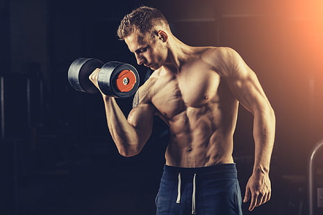 Sport, sollevamento pesi, bodybuilding, uomo, muscoli, Sfondo HD HD wallpaper