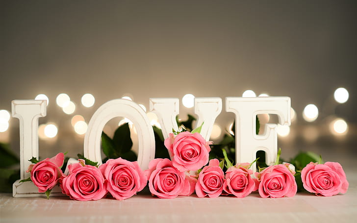 Fiori rossi, rose, amore bianco, San Valentino, rosso, fiori, rose, bianco, amore, San Valentino, giorno, Sfondo HD