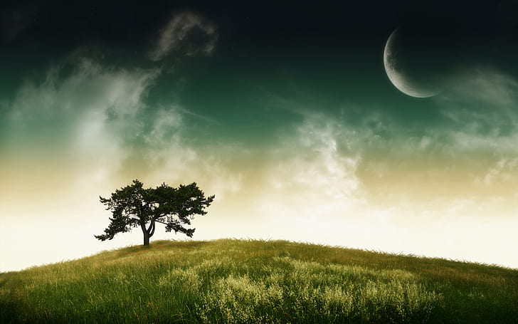Abstract Landscape Natural Tree, natural, tree, abstract, landscape, dreamy and fantasy, HD wallpaper