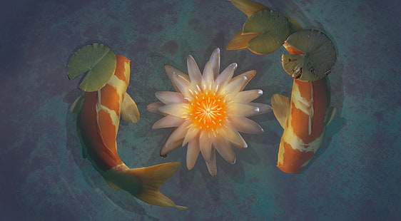 Koi Fisch, Künstlerische, Zeichnungen, HD-Hintergrundbild HD wallpaper
