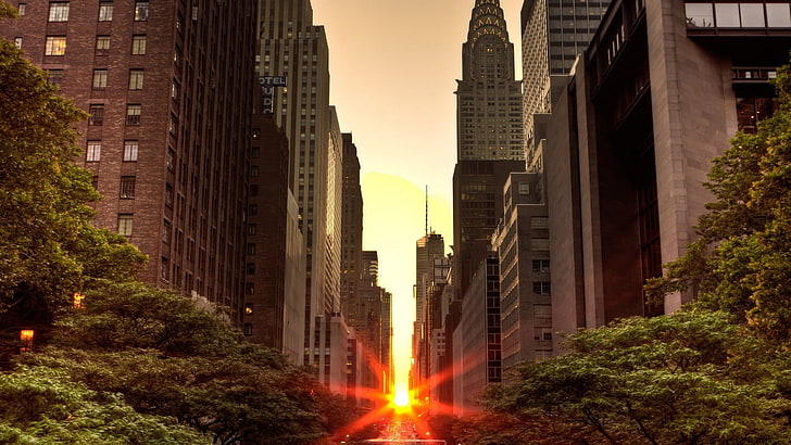 갈색 고층 콘크리트 건물, 맨해튼, 뉴욕시, 일몰, Manhattanhenge, 도시 풍경, HD 배경 화면