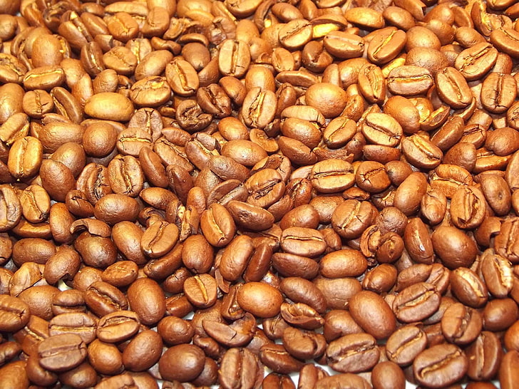 зърна, кофеин, кафе, кафе на зърна, храна, злато, java, печено, печено, семена, HD тапет
