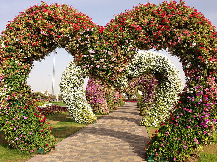 design, garden, track, Singapore, arch, alley, geranium, Petunia, Miracle Garden, floral, HD wallpaper