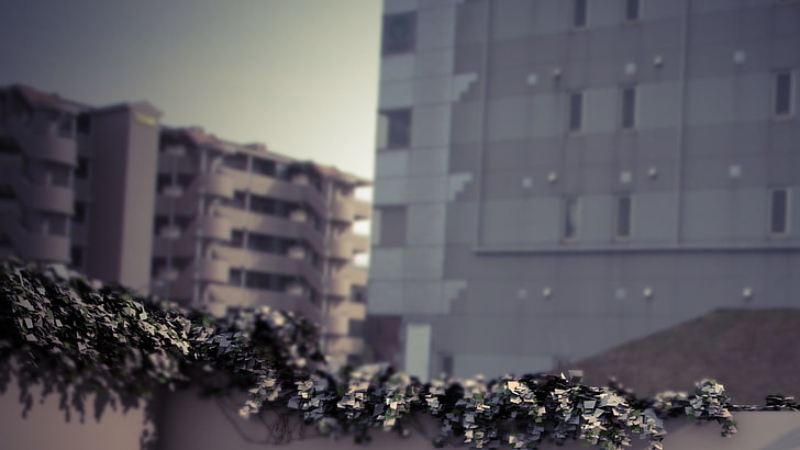 gratte-ciel gris, vignes grises et noires sur la terrasse en béton blanc, tilt shift, urbain, bâtiment, Fond d'écran HD