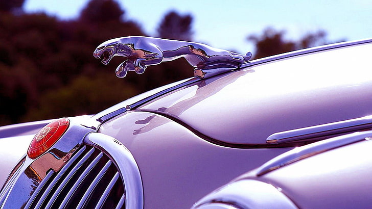 car, jaguar, dream car, vehicle, bonnet, classic, HD wallpaper