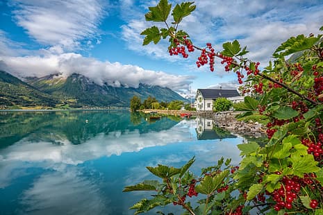  mountains, lake, house, reflection, berries, boats, Norway, red currant, HD wallpaper HD wallpaper