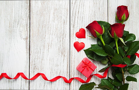rosas, rojo, amor, brotes, corazón, flores, romántico, regalo, rosas rojas, día de san valentín, Fondo de pantalla HD HD wallpaper