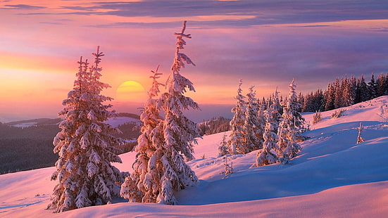 winter, snow, sunset, pink sky, hillside, pine tree, purple sky, nature, tree, HD wallpaper HD wallpaper