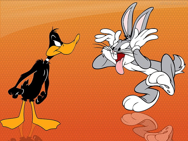 Fernsehshow, Looney Tunes, Daffy, HD-Hintergrundbild