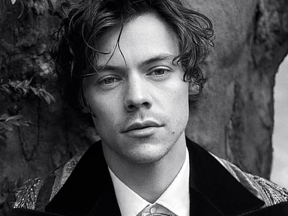 Piosenkarze, Harry Styles, Black and White, English, Face, Singer, Tapety HD HD wallpaper