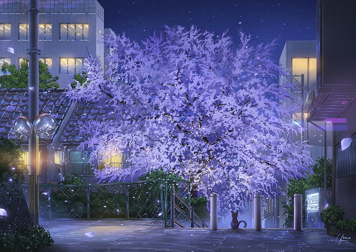 anime scenic park, cat, night, stars, buildings, street, lights, Anime, HD wallpaper