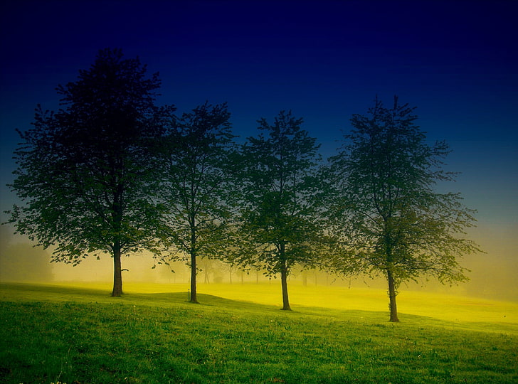 Four Trees, four green leafed trees, Seasons, Spring, Four, Trees, HD wallpaper
