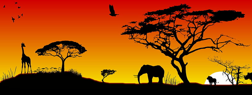 アフリカ、動物、 HDデスクトップの壁紙 HD wallpaper