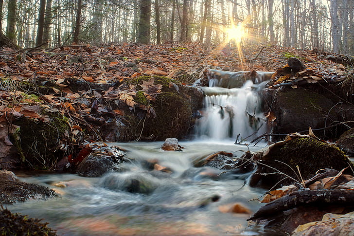 timelapse photography of water stream surrounded by trees during daytime, Ontelaunee Creek, Tributary, timelapse photography, water, stream, trees, daytime, Pennsylvania, Lehigh County, Lynn Township, Leaser Lake, Lake Park, Lehigh Valley, Valley  creek, waterfall, forest, moss, leaf litter, nature, spring, creative commons, tree, river, outdoors, scenics, landscape, woodland, autumn, beauty In Nature, flowing Water, leaf, HD wallpaper