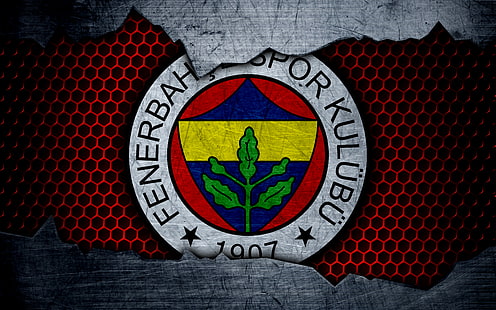 축구, Fenerbahçe S.K., 엠블럼, 로고, HD 배경 화면 HD wallpaper
