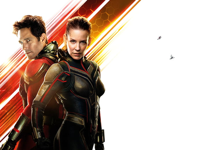 Film, Ant-Man and the Wasp, Ant-Man, Evangeline Lilly, Hope Pym, Marvel Comics, Paul Rudd, Scott Lang, Superhero, Wasp (Marvel Comics), Tapety HD