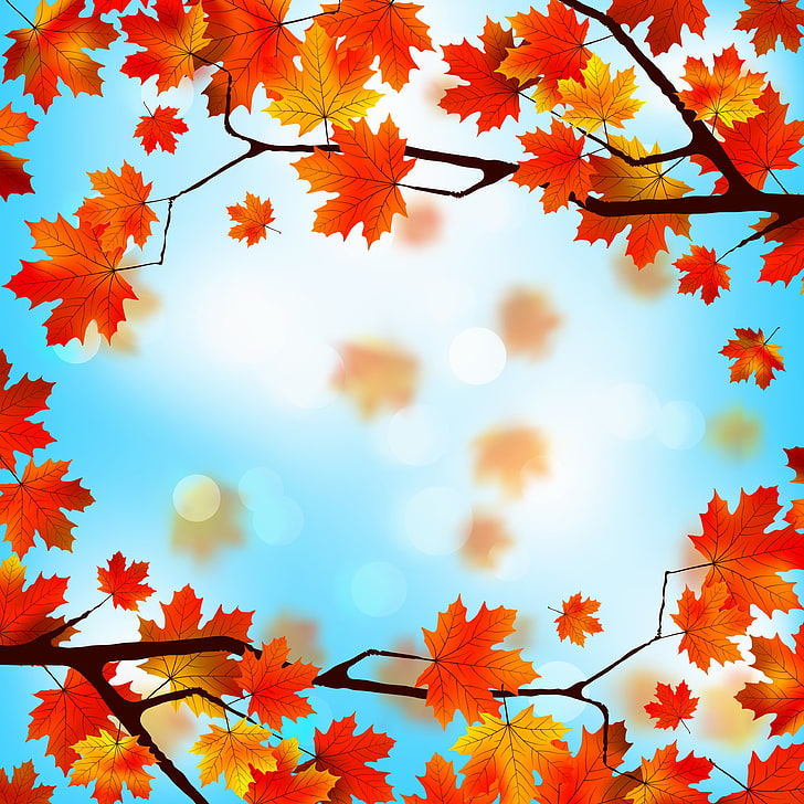 Maple leaf digital wallpaper HD wallpapers free download | Wallpaperbetter