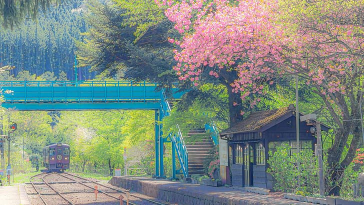 railway, cherry blossom, footbridge, HD wallpaper
