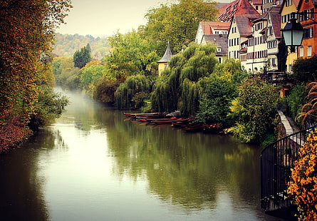 раскрашенные в разные цвета дома, осень, деревья, город, туман, река, здания, дома, Германия, Тюбинген, HD обои HD wallpaper