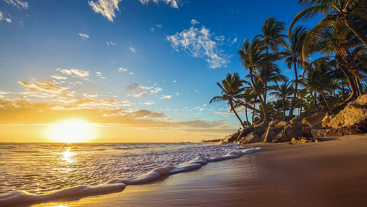 ocean, summer, sand, wave, sandy beach, foam, morning, arecales, palm tree, coast, sky, sunrise, beach, palms, caribbean, horizon, tropics, shore, sea, calm, HD wallpaper