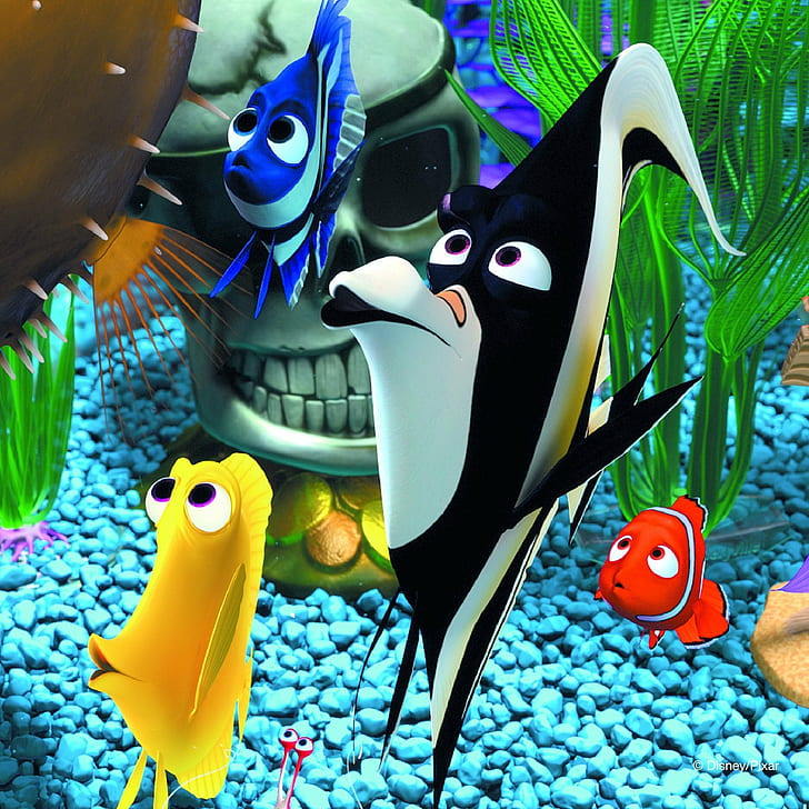 アドベンチャー アニメーション オーストラリア コメディ ディズニー ドラマ 家族 発見 魚 ニモ 海 ピクサー 海 Hdデスクトップの壁紙 Wallpaperbetter