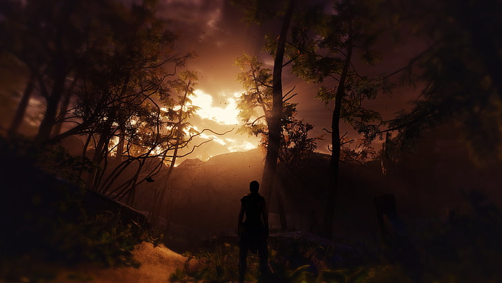 силуэт человека в лесу, Адский клинок: жертва Сенуа, снимок экрана, Nvidia Ansel, пейзаж, Сенуа, HD обои