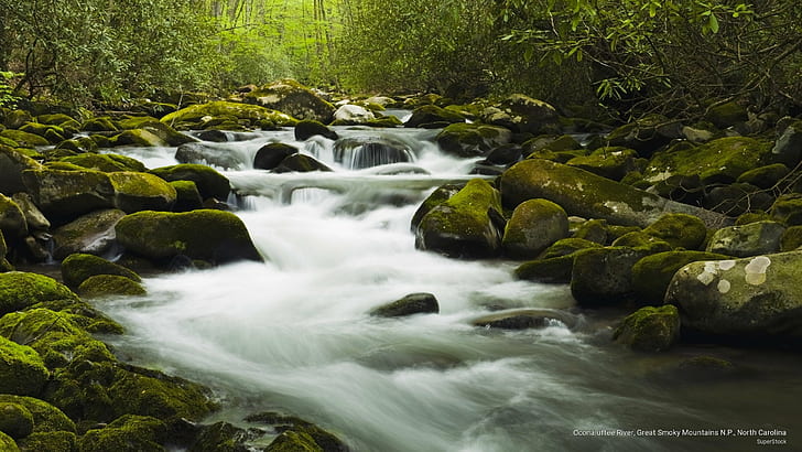 Река Oconaluftee, Great Smoky Mountains NP, Северна Каролина, национални паркове, HD тапет