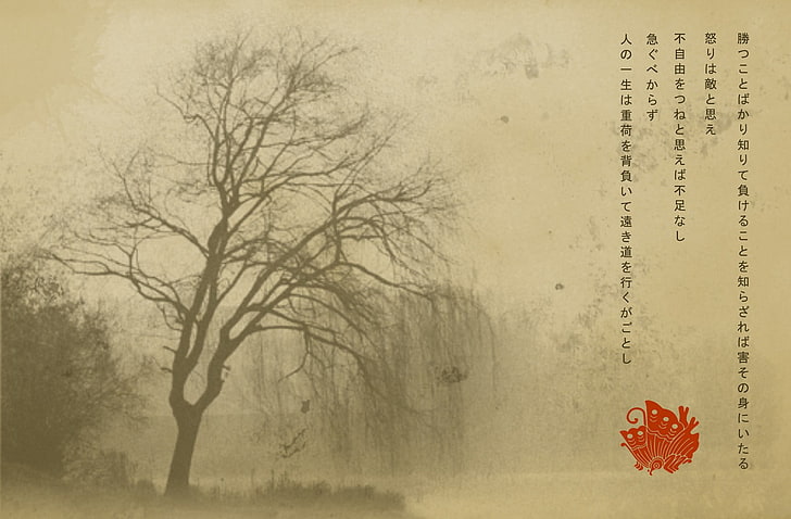 كتاب سيد الخواتم ، الأشجار ، اليابان، خلفية HD