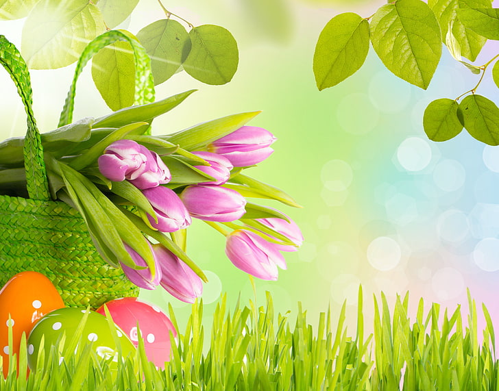 bukiet fioletowych płatków kwiatów, trawa, liście, kwiaty, wiosna, Wielkanoc, tulipany, jajka, Tapety HD