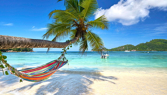 червен, син, жълт и зелен хамак на райета, пясък, море, плаж, слънце, палми, бряг, лято, остров, рай, палми, тропически, HD тапет HD wallpaper