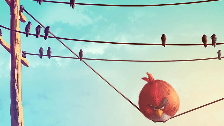 Angry Bird HD, angry birds, heavy, pole, powerline, red bird, HD wallpaper