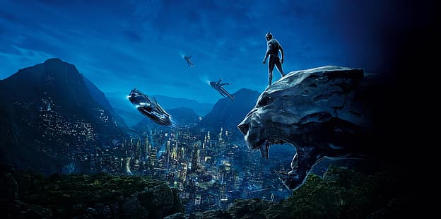 Panthère noire, univers cinématographique Marvel, MCU, Wakanda, T'challa, Fond d'écran HD HD wallpaper