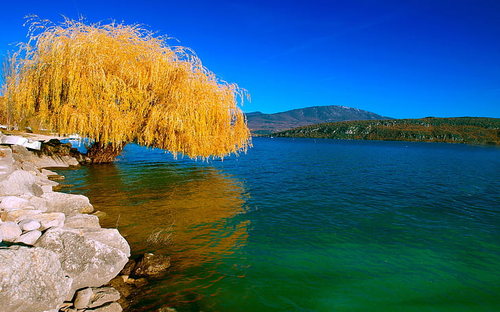 Природа-пейзаж-Красиво езеро-дърво-тъжна върба-есен-жълти листа-Тапет-HD-2560 × 1600, HD тапет