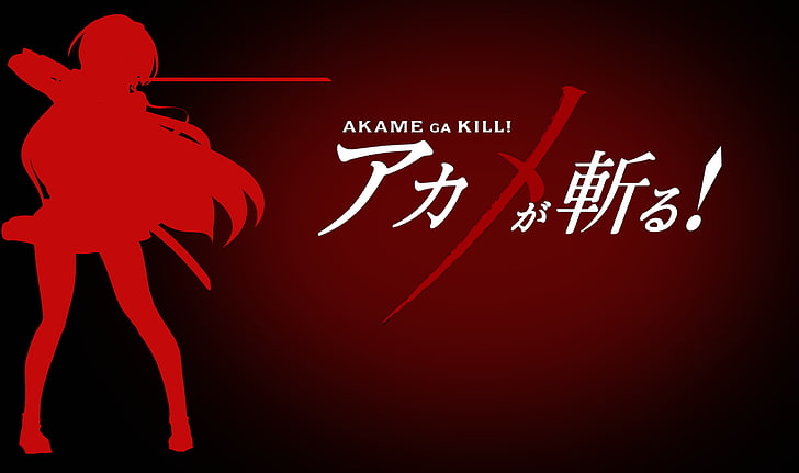 anime, Akame ga Kill !, Akame, Wallpaper HD