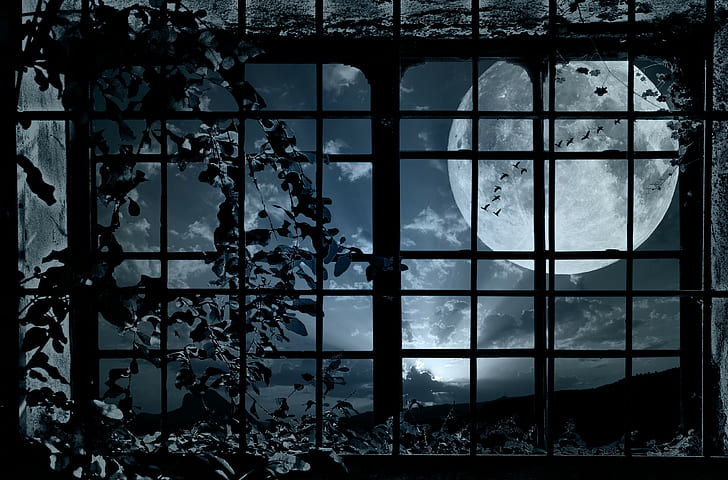 fantasy art, window, Moon, night, HD wallpaper