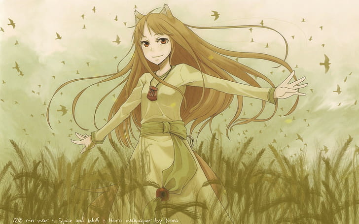 anime, Spice and Wolf, Holo, HD tapet
