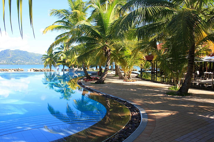 Tranquilla piscina tropicale, alberi, isola, vista, spiaggia, nuoto, esotico, paradiso, palme, isole, oceano, piscina, tropicale, Sfondo HD
