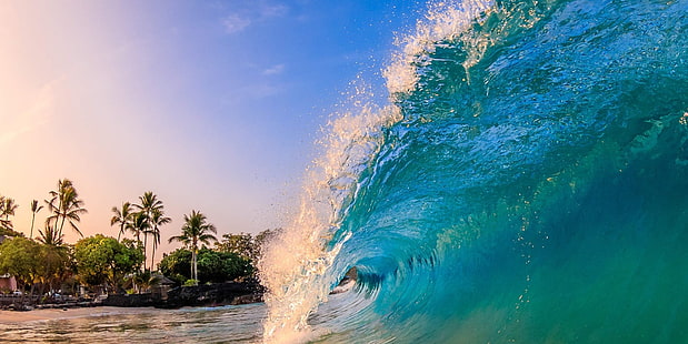 ola de agua, fotografía, naturaleza, paisaje, olas, mar, playa, palmeras, turquesa, agua, mañana, luz solar, Fondo de pantalla HD HD wallpaper