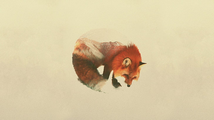 red and white fox photo, double exposure, Andreas Lie, animals, HD wallpaper