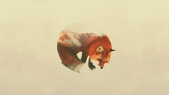 красная и белая лиса фото, двойная экспозиция, Андреас Ли, животные, HD обои HD wallpaper