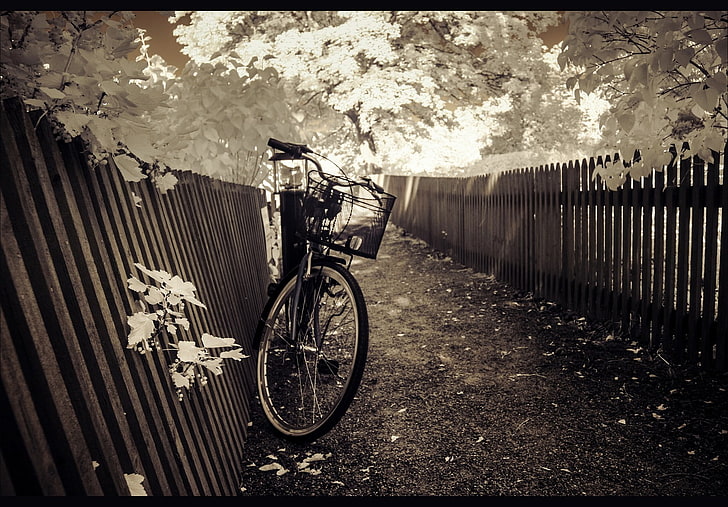 bicycle, HD wallpaper