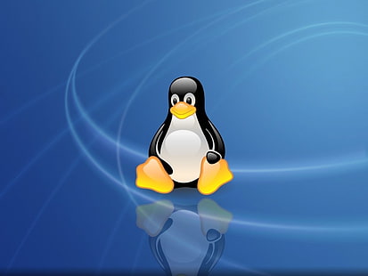 Linux обои, Технологии, Linux, Пингвин, HD обои HD wallpaper