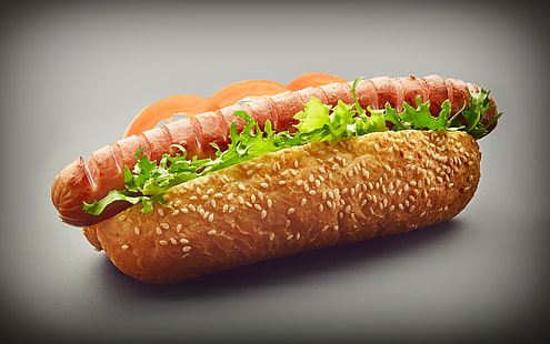 Cibo, hot dog, pane, salsiccia, Sfondo HD HD wallpaper