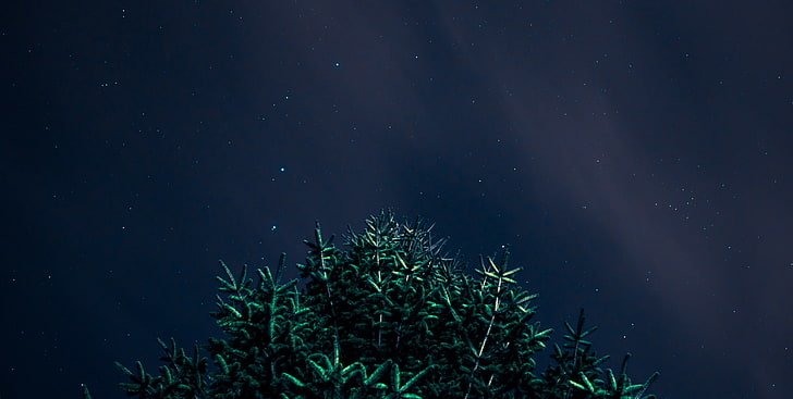 Nacht, Sterne, Nachthimmel, HD-Hintergrundbild