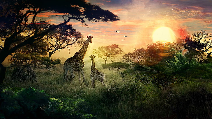 due giraffe marroni, animali, giraffe, paesaggio, sole, DeviantArt, natura, arte digitale, Sfondo HD