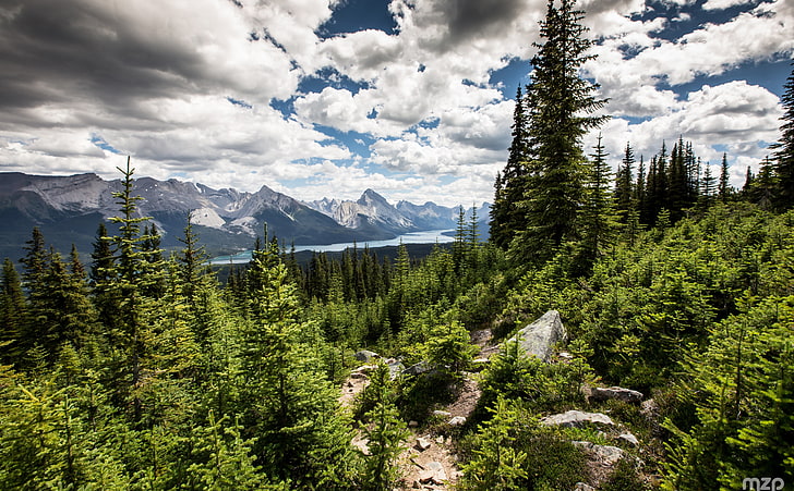 Jasper National Park, แคนาดา, ต้นไม้สีเขียว, แคนาดา, อัลเบอร์ต้า, ดู, การเดินทาง, ธรรมชาติ, ภูมิประเทศ, ทิวทัศน์, ต้นไม้, ภูเขา, การเดินทาง, ทะเลสาบ, เส้นทาง, เมฆ, เส้นทาง, ปลายทาง, เยี่ยมชม, สถานที่ท่องเที่ยว, แจสเปอร์, อุทยานแห่งชาติ, Maligne, วอลล์เปเปอร์ HD