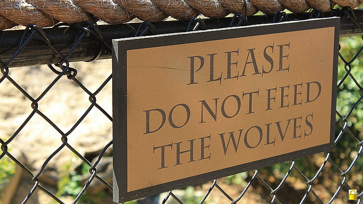 advice, alert, caution, funny, sign, signs, warning, wolves, HD wallpaper