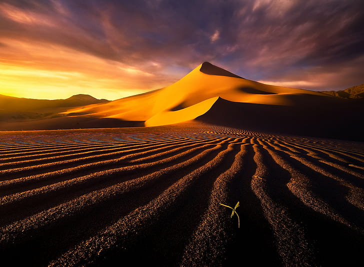 사막, 풍경, 모래 언덕, HD 배경 화면
