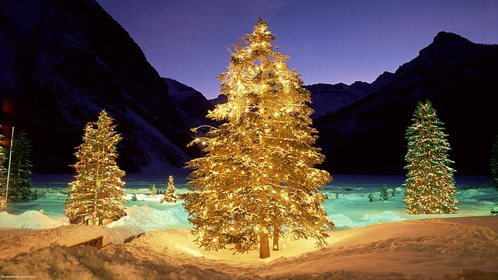 Weihnachtsbäume in einem Winter-Tal, beleuchtete Bäume auf Tal während der Nachtzeit mit Schattenbild von Bergen, von Bäumen, von Tal, von Weihnachten, von Bergen, von Winter, von Natur und von Landschaften, HD-Hintergrundbild